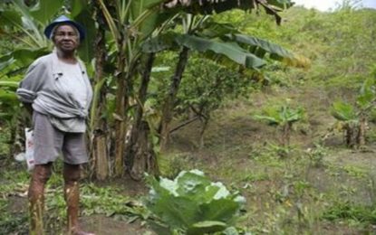 Governo lança campanha de valorização às mulheres rurais