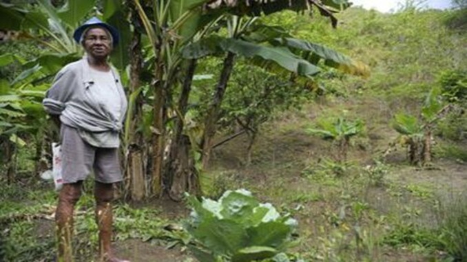 Governo lança campanha de valorização às mulheres rurais