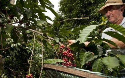 Agricultores familiares de MG e RJ vão poder negociar produtos com as Forças Armadas