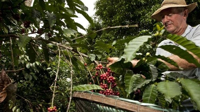 Agricultores familiares de MG e RJ vão poder negociar produtos com as Forças Armadas