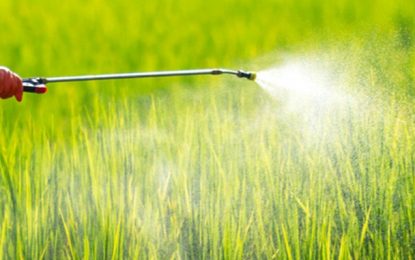 2020 pode ser o ano mais verde da história dos registros de defensivos agrícolas