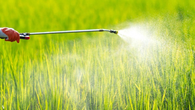2020 pode ser o ano mais verde da história dos registros de defensivos agrícolas