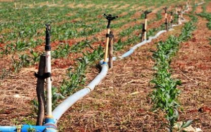 Plataforma digital promete agilidade na solicitação de crédito fundiário