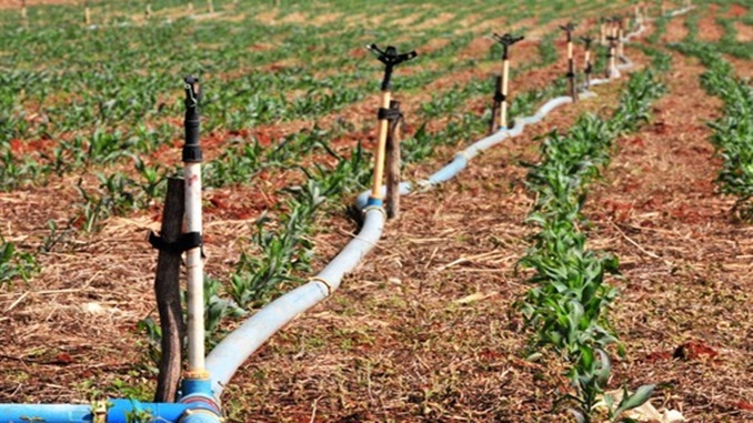 Plataforma digital promete agilidade na solicitação de crédito fundiário