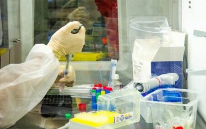 Idosos de até 69 anos vão participar dos testes da vacina de Oxford, no Brasil