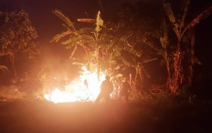 Calor faz aumentar o numero de incêndios na região