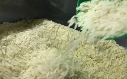 “Preço do arroz deve permanecer entre R$ 5 e R$ 7 até março do ano que vem”, afirma presidente da Abiarroz