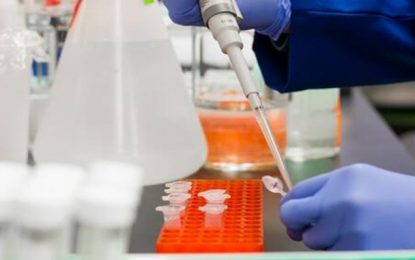 Brasil alcança marca de 80% de curados da Covid-19