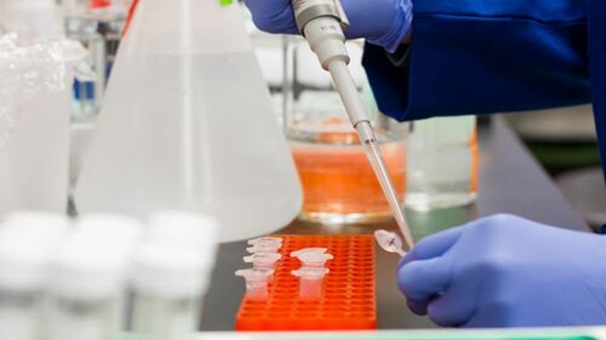 Brasil chega a 79% de curados da Covid-19