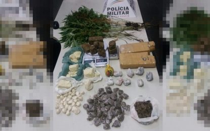 Polícia Militar apreende pés de maconha e sacola com drogas, em Santa Cruz de Minas