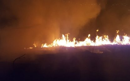 Incêndio atinge novamente área Ecológica próximo ao Grupo Teatral Ponto de Partida, em Barbacena