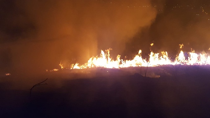 Incêndio atinge novamente área Ecológica próximo ao Grupo Teatral Ponto de Partida, em Barbacena