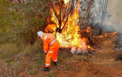Bombeiros combatem oito incêndios em vegetações, em pontos distintos de Barbacena