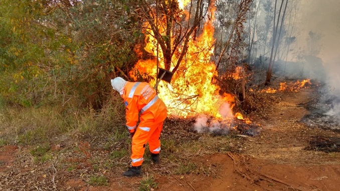 Bombeiros combatem oito incêndios em vegetações, em pontos distintos de Barbacena