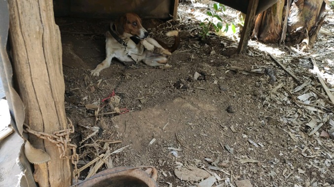 Familiares e amigos procuram por barbacenense desaparecido