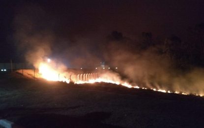 Bombeiros registram dez incêndios em vegetação na região