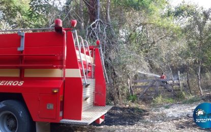 Barbacena registra vários incêndios em áreas de vegetação