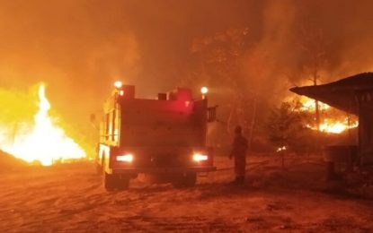 Incêndios atingem três cidades do Centro-Oeste, Divinópolis, Igaratinga e Bom Depacho