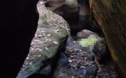 Bombeiros socorrem idosa que caiu em mina desativada