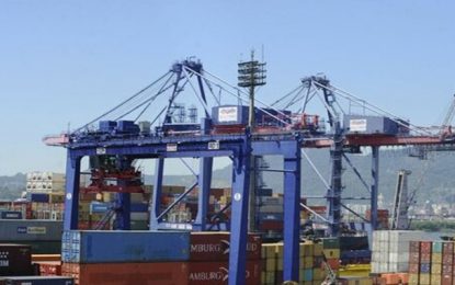 Maior volume e dólar alto sustentam faturamento recorde de exportações este ano