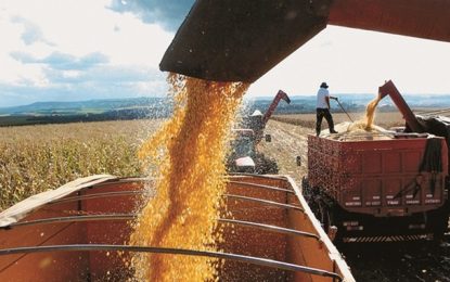 Valor Bruto da Produção agropecuária de MG deve crescer 21,9% em relação ao ano passado
