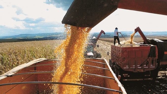 Valor Bruto da Produção agropecuária de MG deve crescer 21,9% em relação ao ano passado