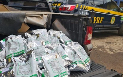 PRF apreende inseticida falsificado em Patos de Minas (MG)