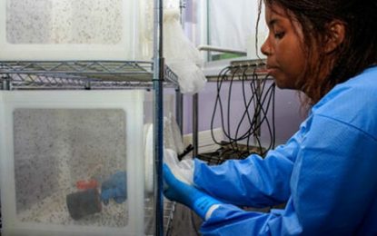 Programa de financiamento da Saúde define tabela de repasses