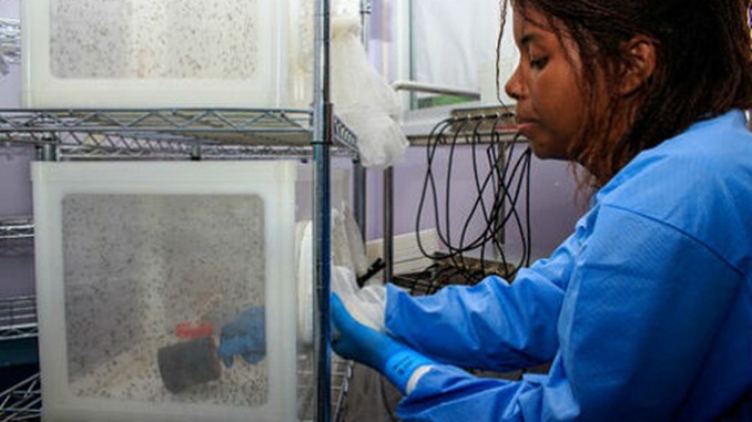 Programa de financiamento da Saúde define tabela de repasses