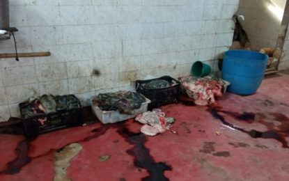 Operação conjunta fecha abate clandestino em Alfredo Vasconcelos e interdita açougue em Barbacena