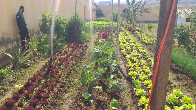 Centro Socioeducativo de Montes Claros realiza doação de hortaliças para asilo do município