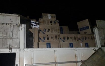 Cigarros contrabandeados são apreendidos pela Polícia Militar na BR-040