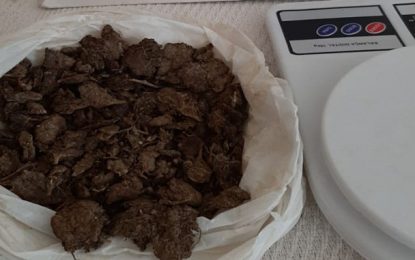 Polícia Militar apreende maconha e balança de precisão, em Barbacena