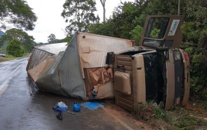 Motorista fica ferido em acidente na MG-448