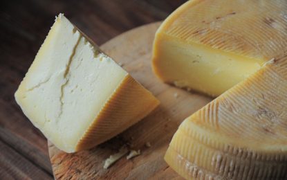 Produção de Queijo Minas no Sul do estado é reconhecida pelo IMA