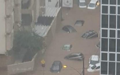 Chuva deixa ruas alagadas e derruba árvores em Juiz de Fora