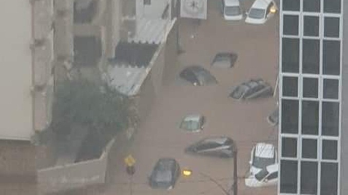 Chuva deixa ruas alagadas e derruba árvores em Juiz de Fora