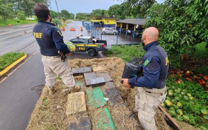 PRF apreende quase quatro toneladas de maconha em caminhão de melancia, em Patos de Minas