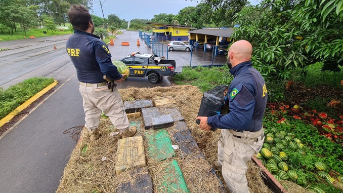 PRF apreende quase quatro toneladas de maconha em caminhão de melancia, em Patos de Minas