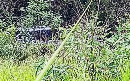 Família de Juiz de Fora sofre acidente na BR-265, veículo caiu de ribanceira de 60 metros