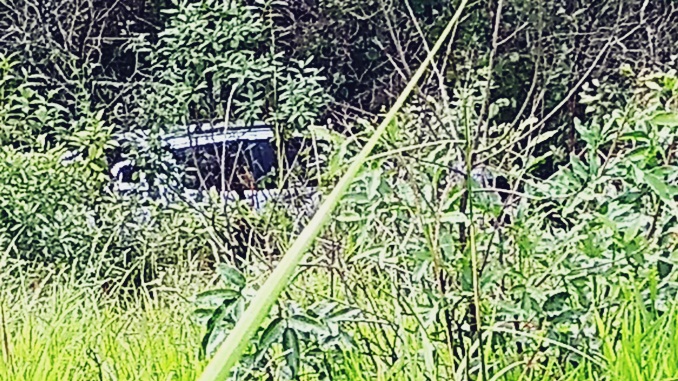 Família de Juiz de Fora sofre acidente na BR-265, veículo caiu de ribanceira de 60 metros