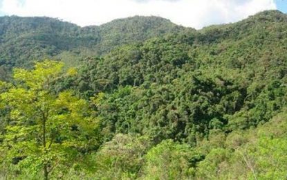 MG: Governo anuncia decretos de regularização ambiental e tratamento de resíduos