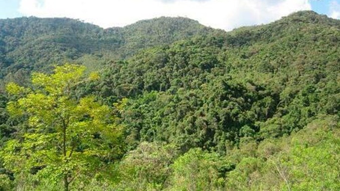 MG: Governo anuncia decretos de regularização ambiental e tratamento de resíduos