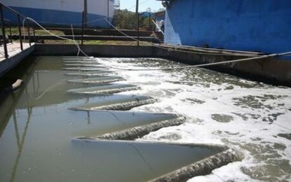 Estudo estima mais de 1,5 milhão de infectados pela Covid-19 em Belo Horizonte