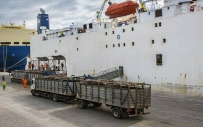 Prazo para declarar e receber a compensação da Lei Kandir vai até 13 de janeiro