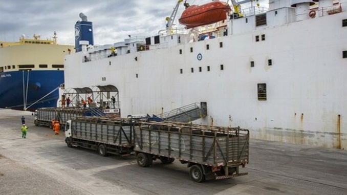 Prazo para declarar e receber a compensação da Lei Kandir vai até 13 de janeiro