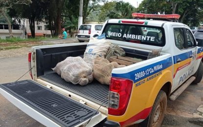 Polícia Militar de Meio Ambiente auxilia áreas afetadas de Correia de Almeida