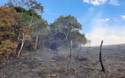 Incêndio destrói área de vegetação na zona rural de Antônio Carlos
