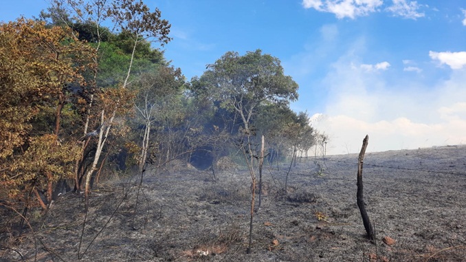 Incêndio destrói área de vegetação na zona rural de Antônio Carlos