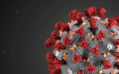 Estudo detecta presença de variante do coronavírus em Barbacena